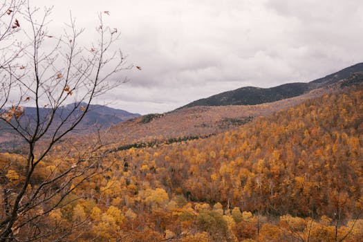 Jak Rozpoznat a Vyhnout se Propadu Promo Cyklu